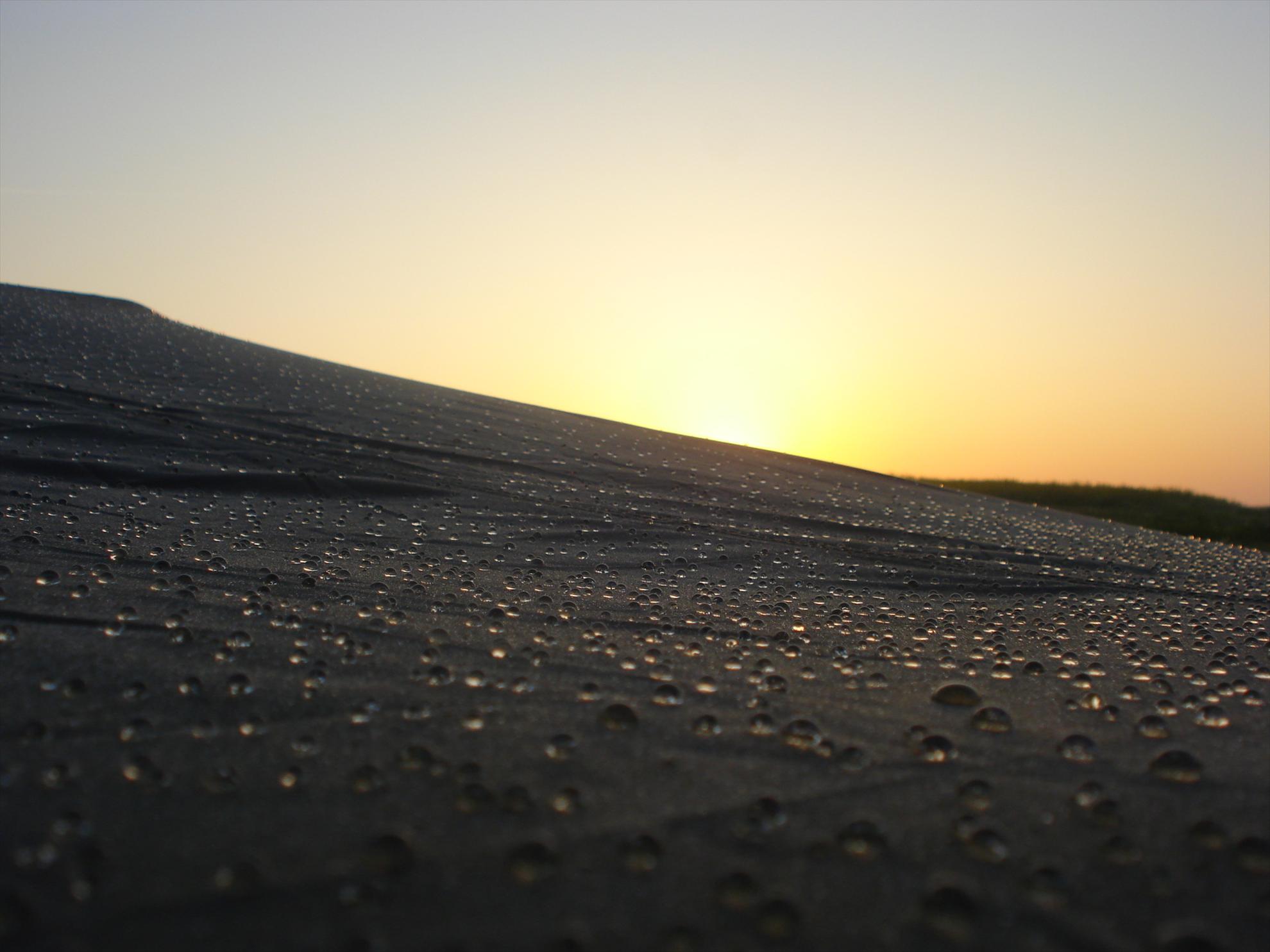 Hobaia - dsc08829.JPG